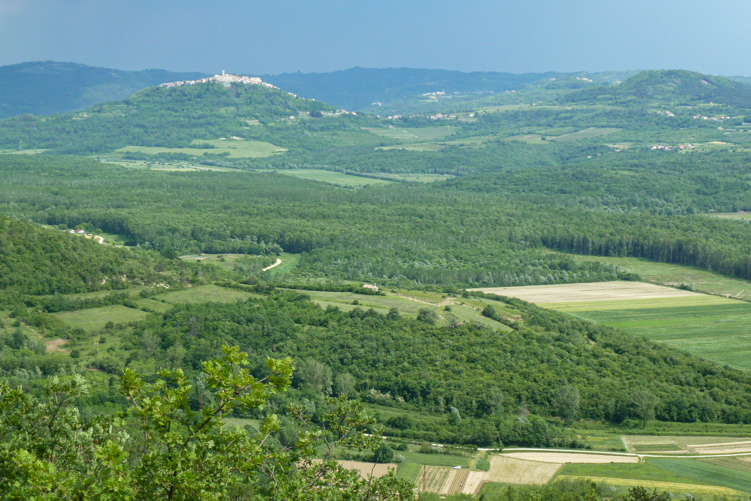 Motovun auf dem Hügel – schon von Weitem zu sehen